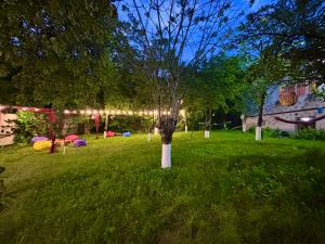 a tree in the middle of a yard with lights at Villa Bubi in Tbisi +8 photos