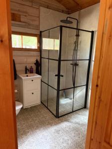 a bathroom with a glass shower and a toilet at Yngsjö in Yngsjö