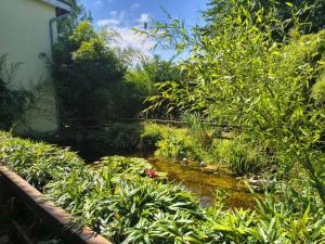 a garden with a pond with flowers and plants at Meerhotel Großenbrode in Großenbrode