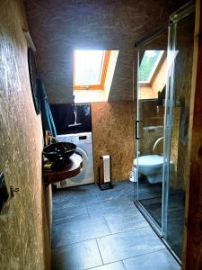 a bathroom with a shower and a sink and a toilet at Apartament Babina Loft in Żarkie Małe