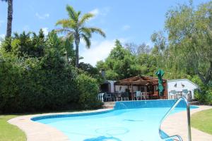 a swimming pool with a house and palm trees at Somer Place B&B in Somerset West