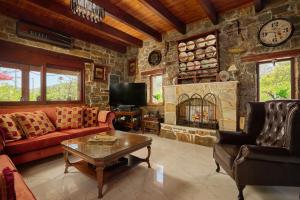 a living room with a couch and a fireplace at Villa Galateia in Dhafnés