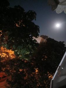 a tree at night with the moon in the sky at Teo&Alex in Năvodari