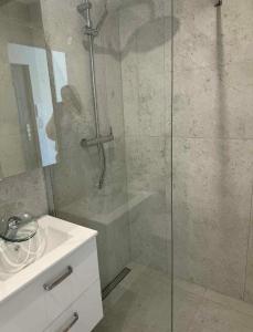 a bathroom with a shower and a sink at Kawalerka in Malbork