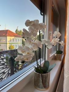 a vase of white flowers sitting on a window sill at Apartman NOA in Novska