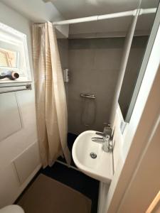 a small bathroom with a sink and a shower at LaSa Apartment 2 in Villingen-Schwenningen