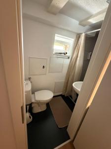a small bathroom with a toilet and a sink at LaSa Apartment 2 in Villingen-Schwenningen