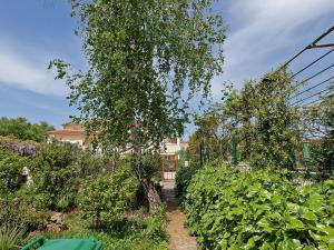 Vonkajšia záhrada v ubytovaní Apartment Damir 864
