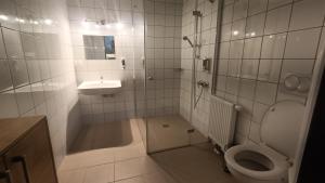 a bathroom with a toilet and a sink at Breitenfelderhof in Breitenfeld an der Rittschein +22 photos