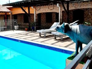 a statue of a bull next to a swimming pool at Pousada Açaí in Salvaterra