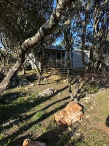 a house with a group of trees and a rock at camping les dolmens in Méjannes-le-Clap