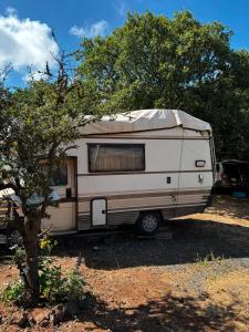 a white caravan parked next to a tree at קרוואן עם חיוך in Odem +6 photos