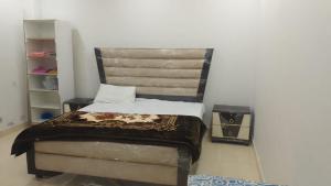 a bedroom with a bed and a book shelf at Galyat Apartments in Abbottabad