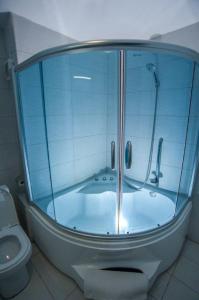 a bathroom with a shower and a toilet at Tlotlo Hotel & Conference Centre in Gaborone