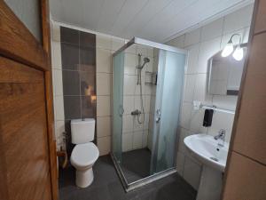 a bathroom with a shower and a toilet and a sink at Golden Pension in Patara