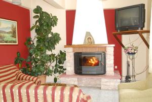 a living room with a fireplace and a tv at Filareti Hotel in Florina