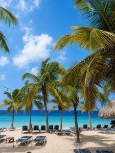 a beach with palm trees and chairs and the ocean at POCO POCO Villa - Poolside Golf & Beachfront Resort in Dorp Sint Michiel