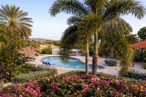 a resort with a pool and palm trees and flowers at POCO POCO Villa - Poolside Golf & Beachfront Resort in Dorp Sint Michiel