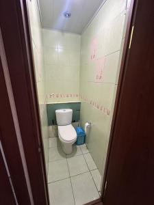 a bathroom with a toilet with pink writing on the walls at Bishkek Apartment Central in Bishkek +20 photos