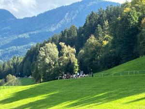 a group of people on a green field with trees at Haus Casimir in Reith im Alpbachtal