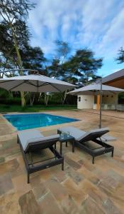 a swimming pool with two patio furniture and umbrellas at Sunset Villa in Usa