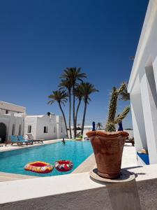 a swimming pool with a potted plant sitting next to a potted plant sidx at Maison Rachid Djerba in El Guecheïne