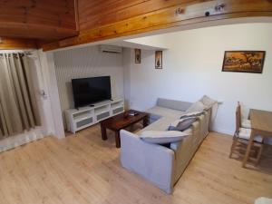 a living room with a couch and a tv at Czarina Cabin הבקתה הקיסרית והדירה הקיסרית czarina apartment in Caesarea