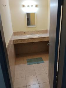 a bathroom with a sink and a mirror at La negrita in Villa Elisa
