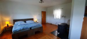 a bedroom with a bed and a television in it at Chalupa Lipiny in Nečín
