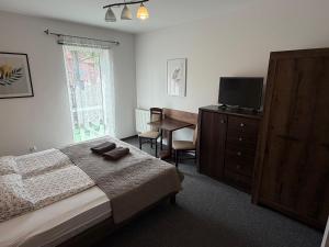 a bedroom with a bed and a desk and a television at Centrum Noclegi in Krynica Zdrój