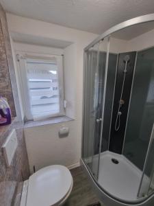 ein Badezimmer mit Dusche, Toilette und Fenster in der Unterkunft D3 Haus in Feuchtwangen