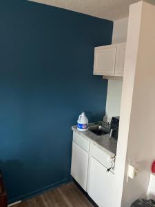a kitchen with a blue wall and a sink at Zybnb in Livonia