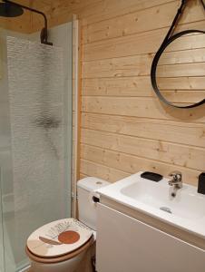 a bathroom with a toilet and a sink at Studio chalet indépendant in Égletons