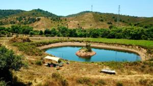a small pond in the middle of a field at Lost Paradise - Cosy Wagon in Sabóia