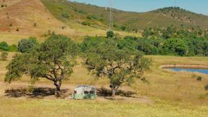 a green tent in a field with trees and a hill at Lost Paradise - Cosy Wagon in Sabóia