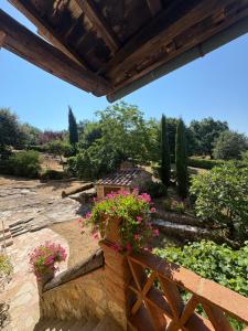a view of a garden with flowers on a bench at Appartamento Puliesini in Montieri +3 photos
