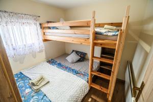 a bedroom with a bunk bed and a ladder at Urška's Premium House Terme Čatež in Brežice