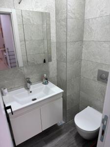 a bathroom with a sink and a toilet and a mirror at Modi Living Apartment in Skopje
