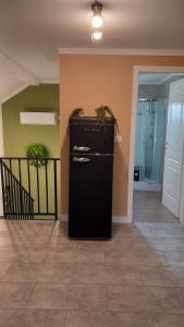 a black refrigerator with plants on top of it in a room at Casa A&A Stefan Livada in Livada +10 photos