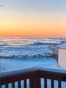 a group of birds in the snow on a balcony at The SeveraLena, your Tawas Point destination! in East Tawas