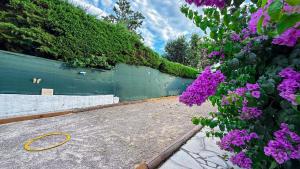 a garden with a green fence and purple flowers at Villa Caraïbes in Vence