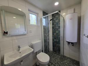 a bathroom with a toilet and a sink and a shower at Bungalow Seedorf 9 in Basedow