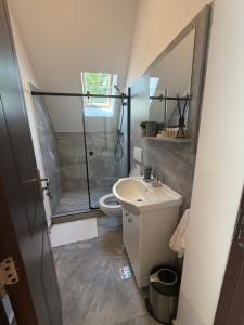 a bathroom with a shower and a sink and a toilet at Cabana Călățele in Călăţele +23 photos