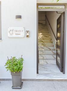 a plant in a pot in front of a building at Ioanna House - Seaside Living, Walk to Beach in Skopelos Town