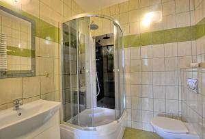 a bathroom with a shower and a toilet and a sink at Centrum Noclegi in Krynica Zdrój