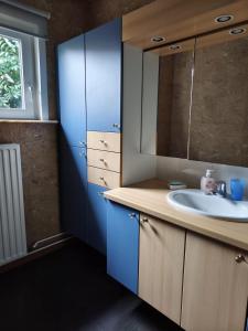 a bathroom with a sink and a mirror at Maison Belle Vue Ronse in Ronse +30 photos