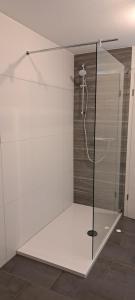 a shower with a glass door in a bathroom at Ferienwohnung Am Stadttor in Tann +19 photos
