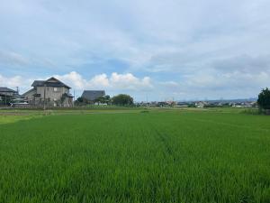 a field of green grass with houses in the background at YADOease in Tsuiki