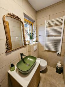 a bathroom with a green sink and a toilet at Pirman Vineyard Cottage in Bučka