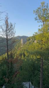 a view of a hill with trees and a building at CLOUD HEIGHTS COTTAGE NATHIA GALi in Nathia Gali
